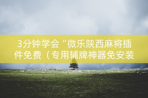 3分钟学会“微乐陕西麻将插件免费（专用辅牌神器免安装）