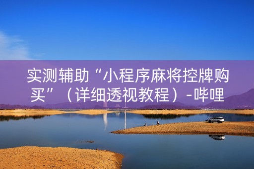 实测辅助“小程序麻将控牌购买”（详细透视教程）-哔哩哔哩
