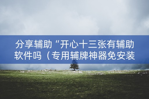 分享辅助“开心十三张有辅助软件吗（专用辅牌神器免安装）