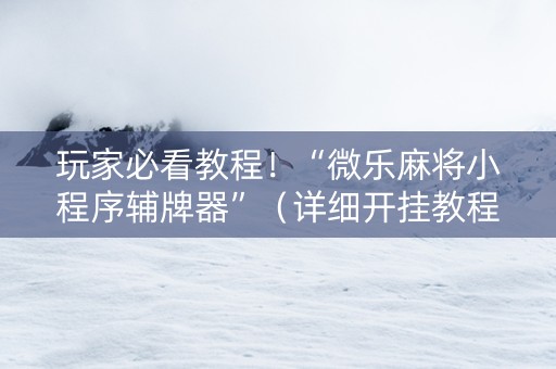 玩家必看教程！“微乐麻将小程序辅牌器”（详细开挂教程）-哔哩哔哩