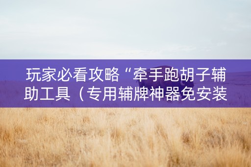 玩家必看攻略“牵手跑胡子辅助工具（专用辅牌神器免安装）