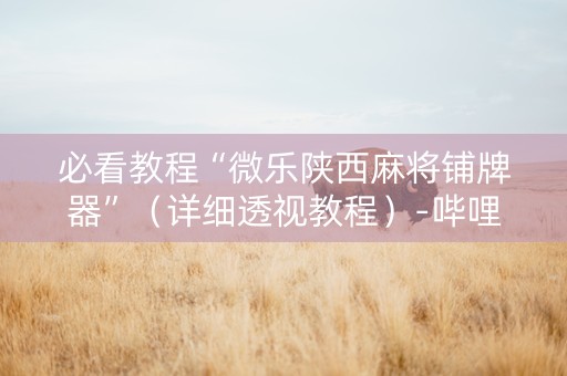 必看教程“微乐陕西麻将铺牌器”（详细透视教程）-哔哩哔哩