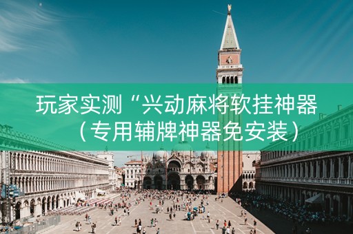 玩家实测“兴动麻将软挂神器（专用辅牌神器免安装）