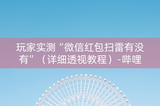玩家实测“微信红包扫雷有没有”（详细透视教程）-哔哩哔哩