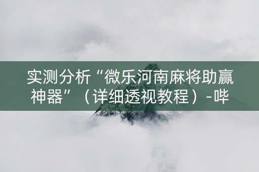 实测分析“微乐河南麻将助赢神器”（详细透视教程）-哔哩哔哩