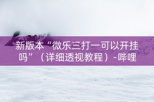 新版本“微乐三打一可以开挂吗”（详细透视教程）-哔哩哔哩
