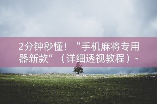 2分钟秒懂！“手机麻将专用器新款”（详细透视教程）-哔哩哔哩