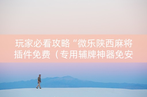 玩家必看攻略“微乐陕西麻将插件免费（专用辅牌神器免安装）