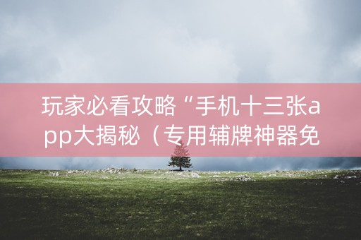 玩家必看攻略“手机十三张app大揭秘（专用辅牌神器免安装）