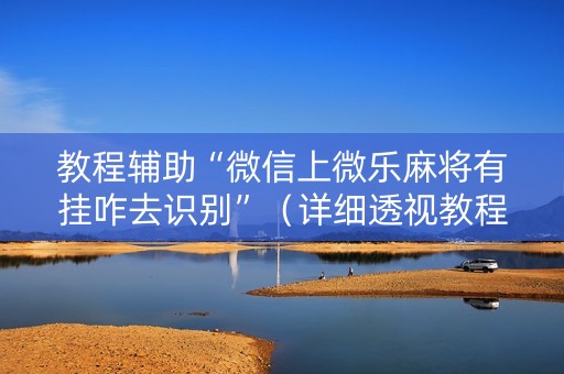 教程辅助“微信上微乐麻将有挂咋去识别”（详细透视教程）-哔哩哔哩