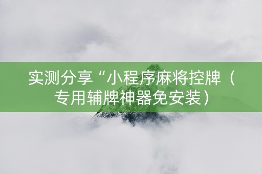 实测分享“小程序麻将控牌（专用辅牌神器免安装）