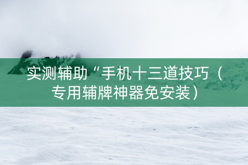 实测辅助“手机十三道技巧（专用辅牌神器免安装）