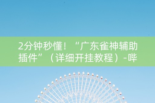 2分钟秒懂！“广东雀神辅助插件”（详细开挂教程）-哔哩哔哩