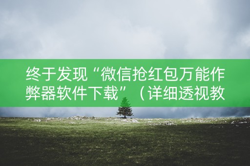 终于发现“微信抢红包万能作弊器软件下载”（详细透视教程）-哔哩哔哩