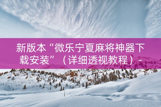 新版本“微乐宁夏麻将神器下载安装”（详细透视教程）-哔哩哔哩