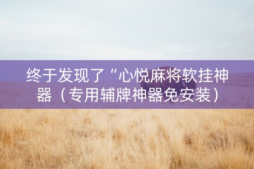 终于发现了“心悦麻将软挂神器（专用辅牌神器免安装）