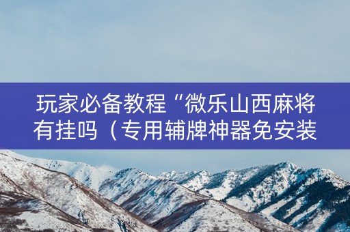 玩家必备教程“微乐山西麻将有挂吗（专用辅牌神器免安装）