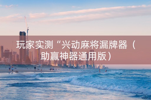 玩家实测“兴动麻将漏牌器（助赢神器通用版）