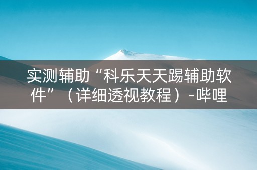 实测辅助“科乐天天踢辅助软件”（详细透视教程）-哔哩哔哩