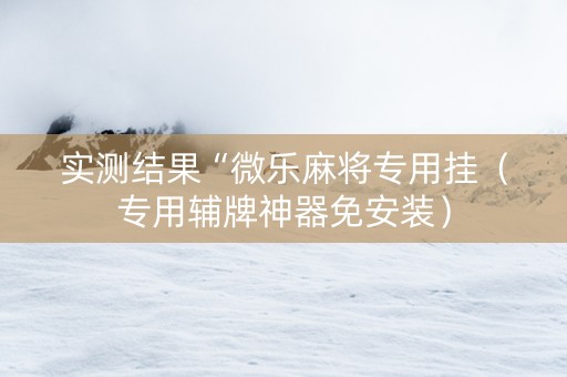 实测结果“微乐麻将专用挂（专用辅牌神器免安装）