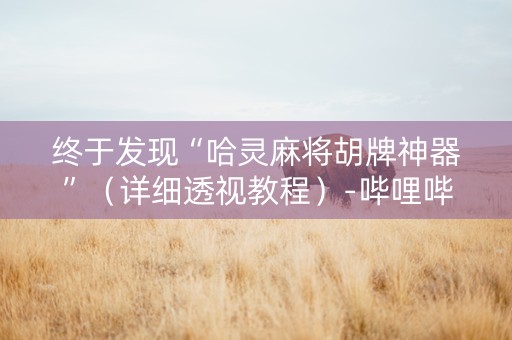 终于发现“哈灵麻将胡牌神器”（详细透视教程）-哔哩哔哩