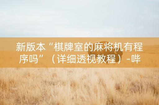 新版本“棋牌室的麻将机有程序吗”（详细透视教程）-哔哩哔哩