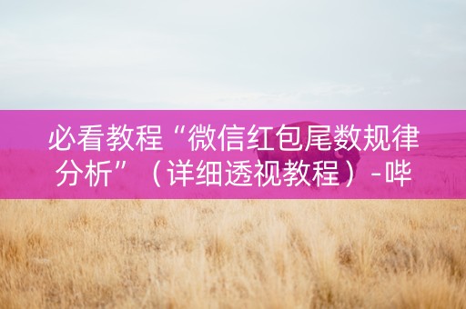 必看教程“微信红包尾数规律分析”（详细透视教程）-哔哩哔哩