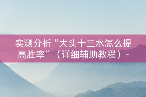 实测分析“大头十三水怎么提高胜率”（详细辅助教程）-哔哩哔哩
