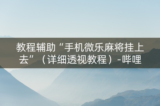 教程辅助“手机微乐麻将挂上去”（详细透视教程）-哔哩哔哩