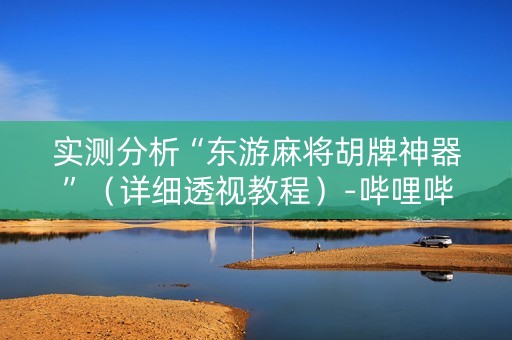 实测分析“东游麻将胡牌神器”（详细透视教程）-哔哩哔哩