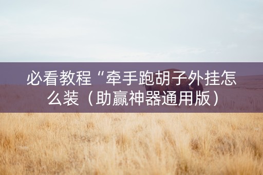 必看教程“牵手跑胡子外挂怎么装（助赢神器通用版）