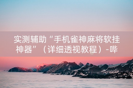 实测辅助“手机雀神麻将软挂神器”（详细透视教程）-哔哩哔哩