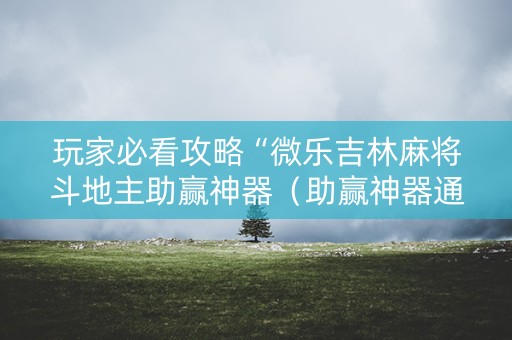 玩家必看攻略“微乐吉林麻将斗地主助赢神器（助赢神器通用版）