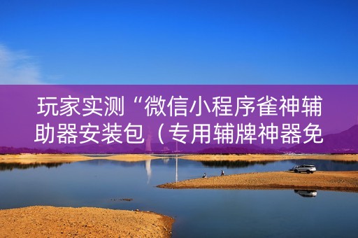 玩家实测“微信小程序雀神辅助器安装包（专用辅牌神器免安装）