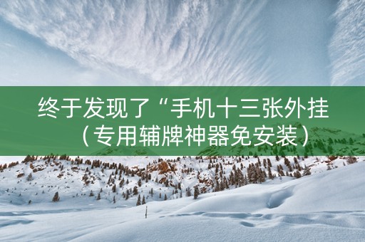 终于发现了“手机十三张外挂（专用辅牌神器免安装）