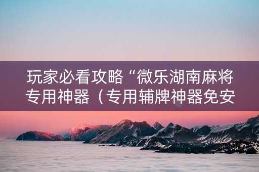 玩家必看攻略“微乐湖南麻将专用神器（专用辅牌神器免安装）