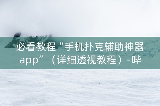 必看教程“手机扑克辅助神器app”（详细透视教程）-哔哩哔哩