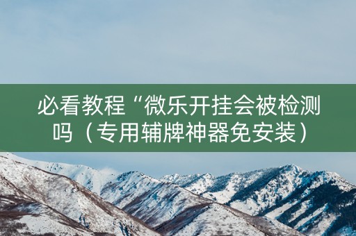 必看教程“微乐开挂会被检测吗（专用辅牌神器免安装）