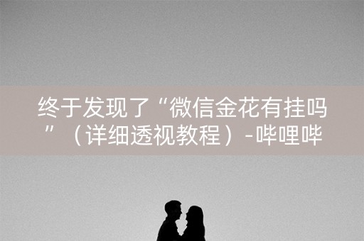 终于发现了“微信金花有挂吗”（详细透视教程）-哔哩哔哩