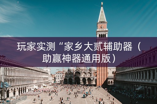 玩家实测“家乡大贰辅助器（助赢神器通用版）