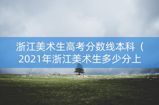 浙江美术生高考分数线本科（2021年浙江美术生多少分上本科）