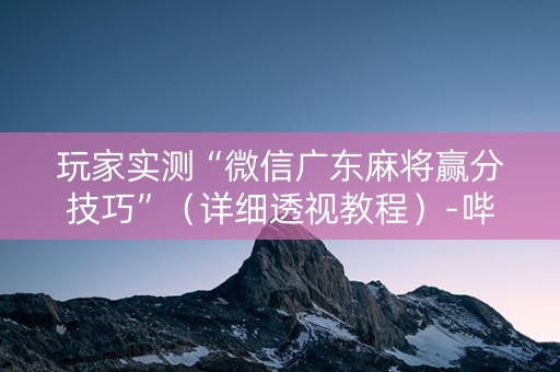 玩家实测“微信广东麻将赢分技巧”（详细透视教程）-哔哩哔哩
