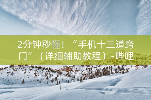 2分钟秒懂！“手机十三道窍门”（详细辅助教程）-哔哩哔哩