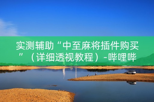 实测辅助“中至麻将插件购买”（详细透视教程）-哔哩哔哩