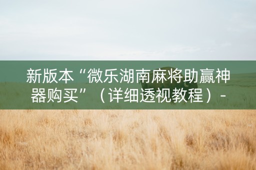 新版本“微乐湖南麻将助赢神器购买”（详细透视教程）-哔哩哔哩