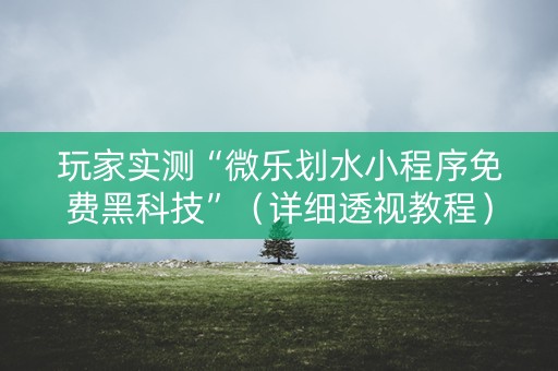 玩家实测“微乐划水小程序免费黑科技”（详细透视教程）-哔哩哔哩