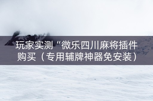 玩家实测“微乐四川麻将插件购买（专用辅牌神器免安装）