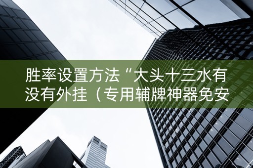 胜率设置方法“大头十三水有没有外挂（专用辅牌神器免安装）