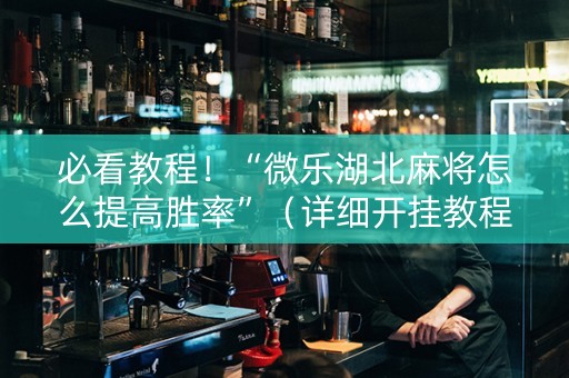 必看教程！“微乐湖北麻将怎么提高胜率”（详细开挂教程）-哔哩哔哩