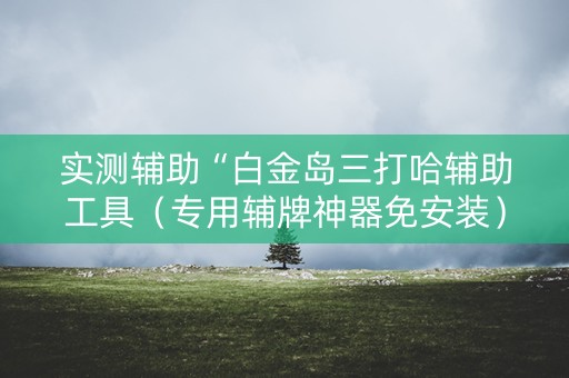 实测辅助“白金岛三打哈辅助工具（专用辅牌神器免安装）
